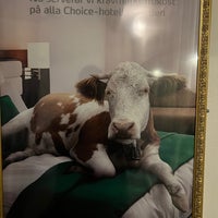 10/7/2022 tarihinde Nikki S.ziyaretçi tarafından Clarion Collection Hotel Drott'de çekilen fotoğraf