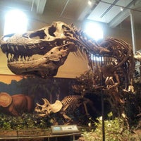 Foto tomada en Carnegie Museum of Natural History  por Serge C. el 11/27/2012