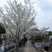 Photo taken at Aoyama Cemetery by Yoshio &amp;#39;Samson&amp;#39; N. on 4/6/2024