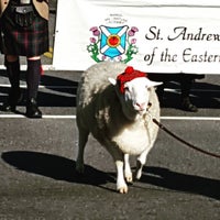 Photo taken at Old Town Alexandria Scottish Christmas Walk by Mary Kate on 12/6/2015
