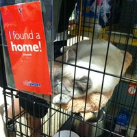 Petsmart Pet Store In Wyomissing