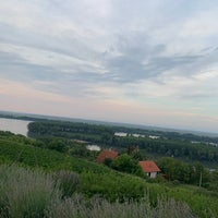 Photo taken at Gročanska ada by Danijela . on 8/13/2019