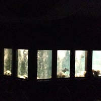 Undersea Gardens Now Closed Zoo