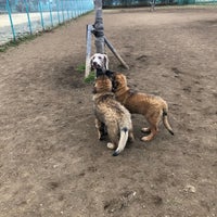 ドッグラン 調布 深大寺北町2 5