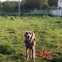 ドッグラン 調布 深大寺北町2 5