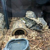 Photo taken at Pet World Lawrence by Joshua T. on 2/4/2017