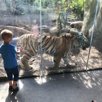Photo taken at tigers @The Indianapolis Zoo by Joshua T. on 9/2/2018