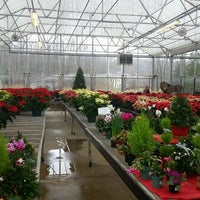 Cross Creek Nursery 8390 Cazenovia Rd Photo Taken At Cross Creek Nursery By Jennifer S On 12 3 2016