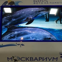 Photo taken at Центр плавания с дельфинами by Valera S. on 12/4/2016