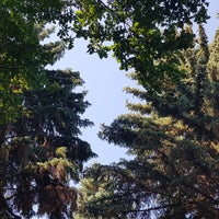 Photo taken at ДОЛ «Берёзки» by Павел В. on 6/26/2018