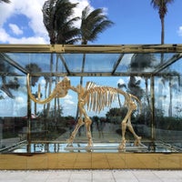 รูปภาพถ่ายที่ Faena Hotel Miami Beach โดย Mike T. เมื่อ 2/19/2016