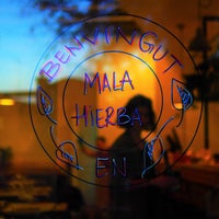 12/11/2016にMala HierbaがMala Hierbaで撮った写真