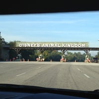 Animal Kingdom Parking Lot - Walt Disney World