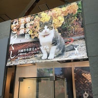 Photo taken at 川崎市市民ミュージアム 企画展示室1 by けーこ on 5/18/2019