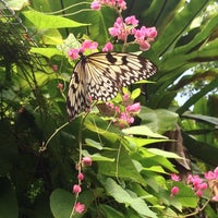 Photo taken at Butterfly Park &amp;amp; Insect Kingdom by Sophie B. on 7/17/2016