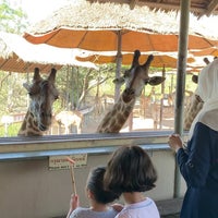 Photo taken at giraffe feeding by Ruba I. on 1/8/2020