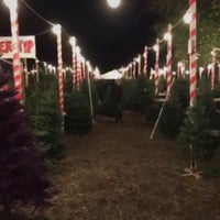 Photo taken at Clancy&amp;#39;s Christmas Trees by Pei K. on 12/7/2016