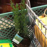 orchard supply hardware now