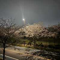 Photo taken at Chofu Airport by Bamboo O. on 4/6/2024