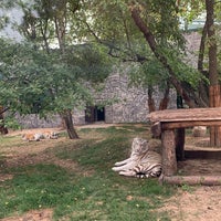 Photo taken at Зоопарк «Лимпопо» by Oksana K. on 8/31/2021