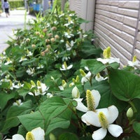 Photo taken at 大田区営 大森駅西口自転車駐車場 by Yasuo M. on 5/27/2013