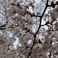 Photo taken at 芦原公園 by mknt on 3/30/2021
