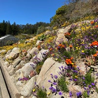 Photo taken at UC Berkeley Botanical Gardens by Marian E. on 4/10/2023