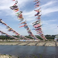 泳げ鯉のぼり相模川 相模原 181 Ziyaretcidan 1 Tavsiye 泳げ鯉のぼり相模川 相模原 181 Ziyaretcidan 1 Tavsiye