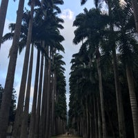 Photo taken at Jardim Botânico do Rio de Janeiro by Rina R. on 7/30/2016