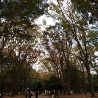 Photo taken at 代々木公園サイクリングコース by Shinjiko123 on 11/8/2020