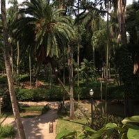Photo taken at Parque Jardim da Luz by Sueli T. on 1/21/2020