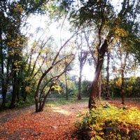 Photo taken at Добрыня by Mikhail K. on 10/11/2012