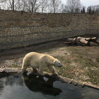 Photo taken at Tallinn Zoo by Murat on 4/15/2023