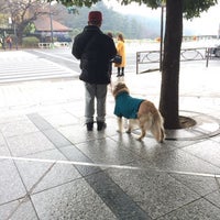 半蔵門ファーストビル 千代田区 東京都