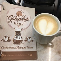 รูปภาพถ่ายที่ Gatopardo Cafetería โดย Rodrigo S. เมื่อ 1/24/2017