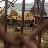 Photo taken at Зоопарк by Алексей on 9/25/2018