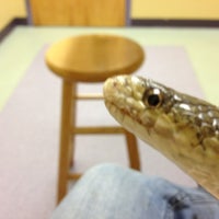 Avian And Exotic Animal Care 6 Tips