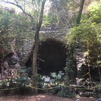 Photo taken at La Cueva Chapultepec by Maka on 6/6/2018