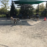 Photo taken at Little Bay Park Dog Run by Jen S. on 5/4/2017