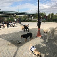 Photo taken at Little Bay Park Dog Run by Jen S. on 5/6/2017