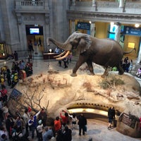 Photo taken at National Museum of Natural History by Andrey V. on 4/20/2013