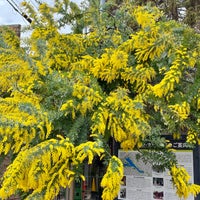 Photo taken at Inokashira-kōen Station (IN16) by Sakurairo on 3/6/2023