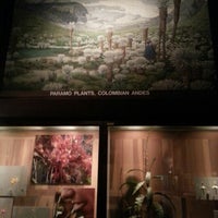 Photo taken at Hall of Plants The Field Museum by Ikram O. on 10/7/2012
