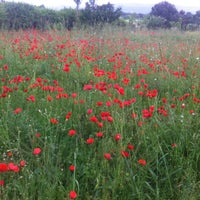 Photo taken at Çatalca by Hande A. on 5/9/2013