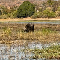 Photo taken at Chobe Safari Lodge by A on 7/3/2023