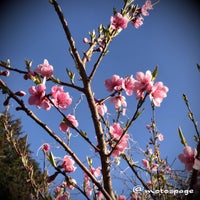 Photo taken at 関谷奥見晴台 展望台 by Motoyuki O. on 3/18/2019