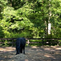 Photo taken at Rock Creek Horse Center by Laura W. on 5/16/2024