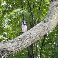 Photo taken at Constitution Gardens by Laura W. on 5/15/2023