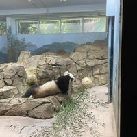 Photo taken at Giant Panda House by Laura W. on 11/4/2023
