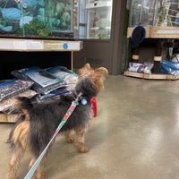 Photo taken at Petco by Laura W. on 11/13/2021